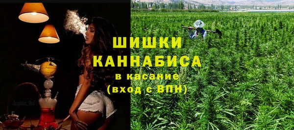 шишки Алексеевка